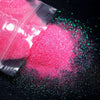 ✨Magisches Glitzern für Ihre Kunstwerke✨10G Shiny Sugar Powder Epoxidharz-Pigment